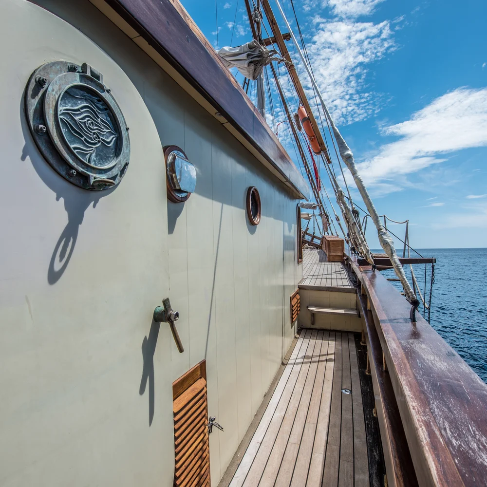 Carpe Diem yacht photo 8