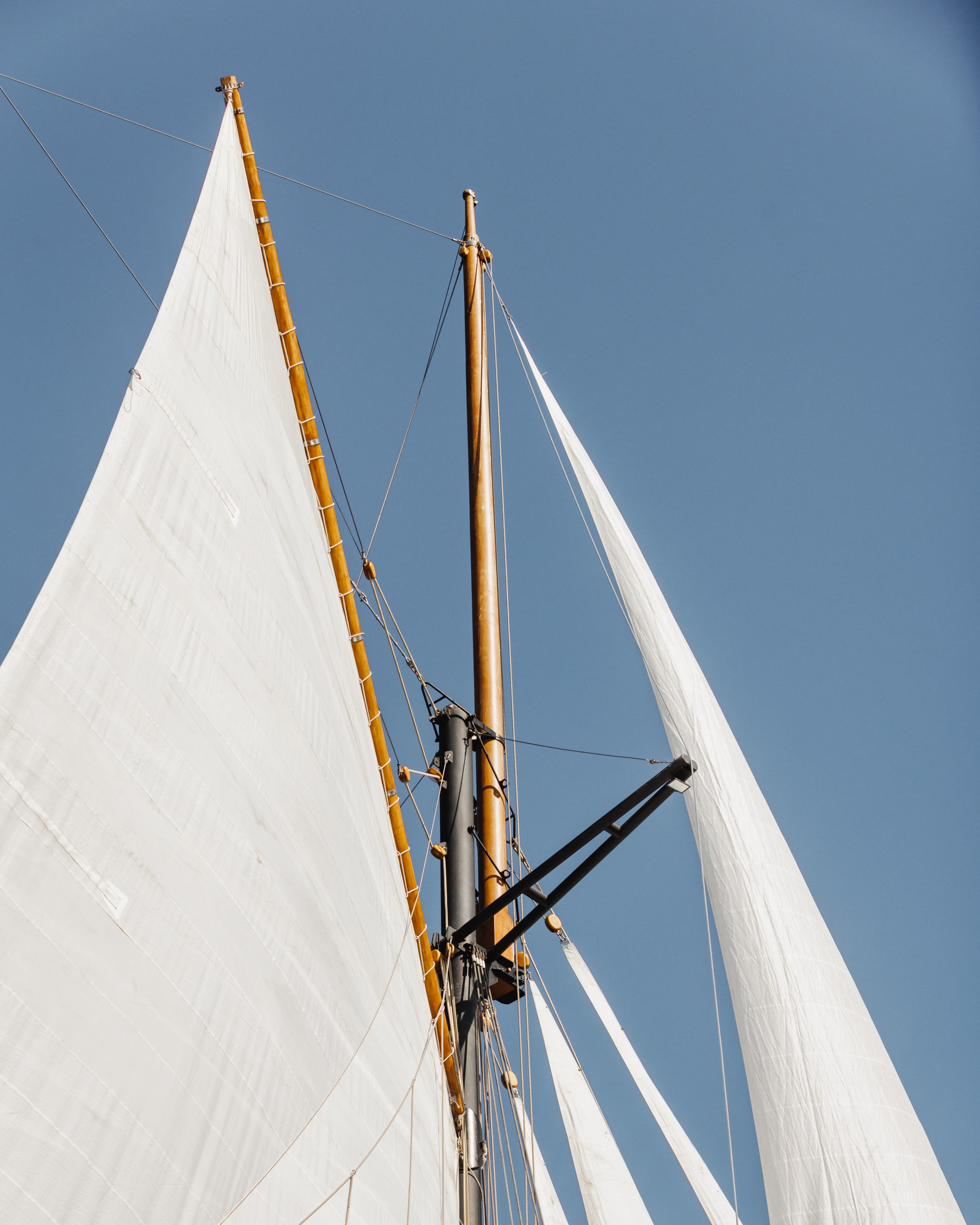 Vela yacht photo 6