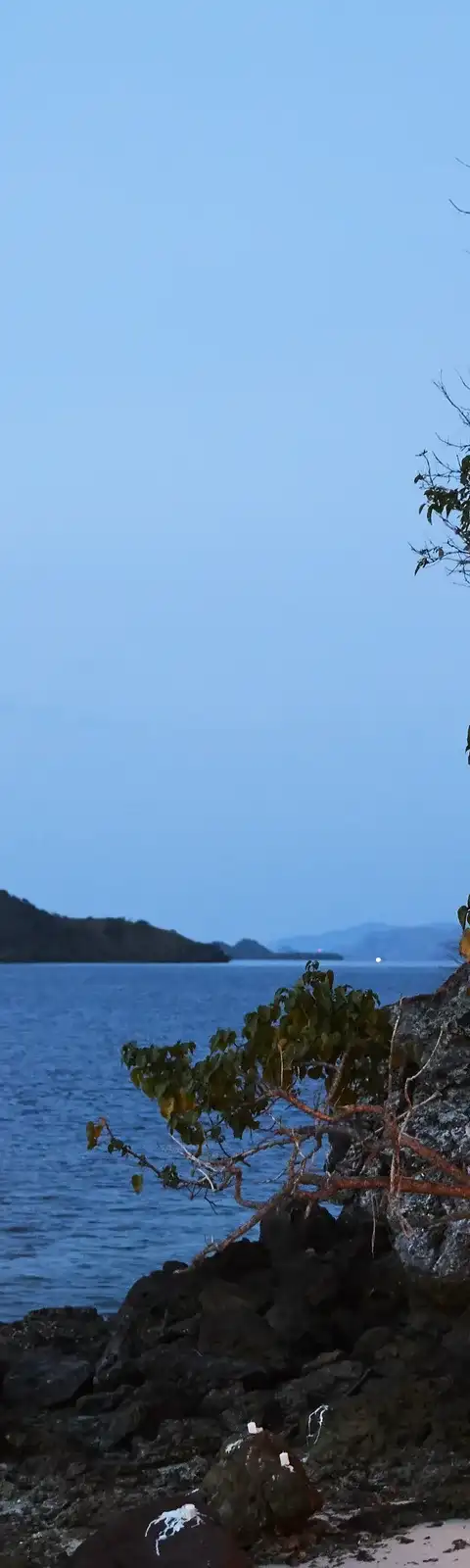 Amandira activities photo