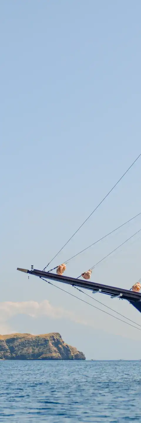 Celestia activities photo