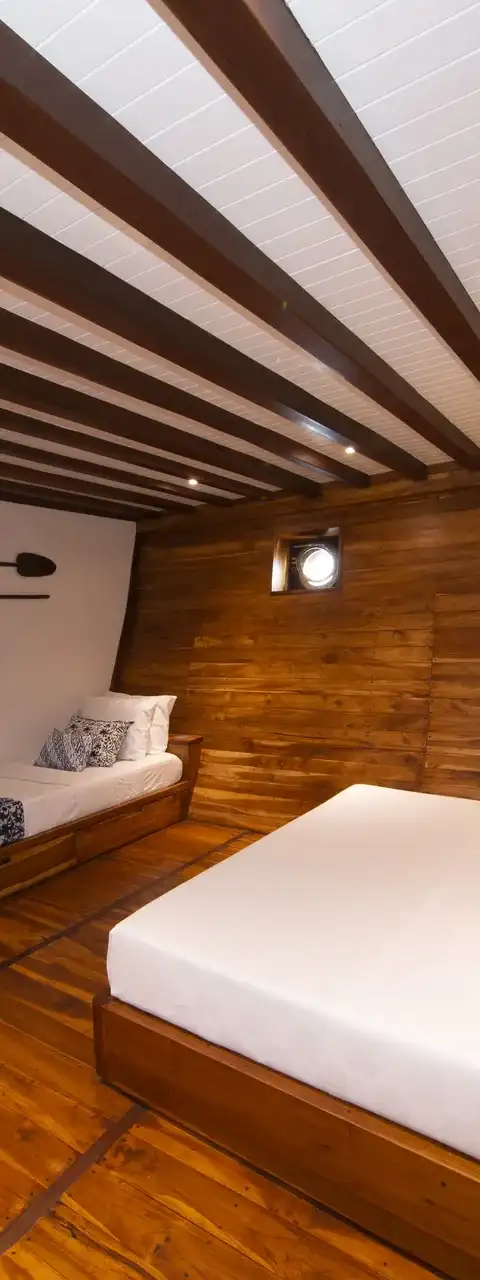 Coralia cabins photo