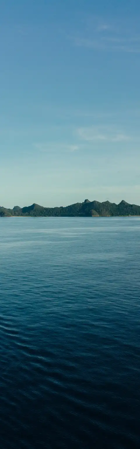Senja exterior photo