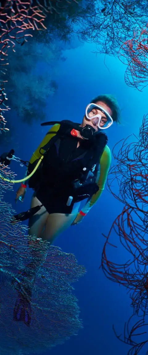 Seven Seas activities photo