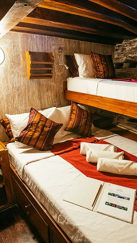 Seven Seas cabins photo