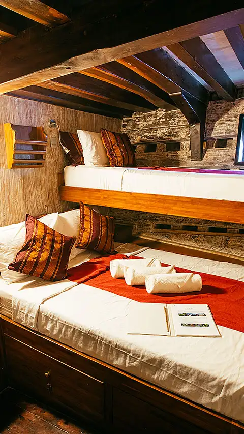 Seven Seas cabins photo