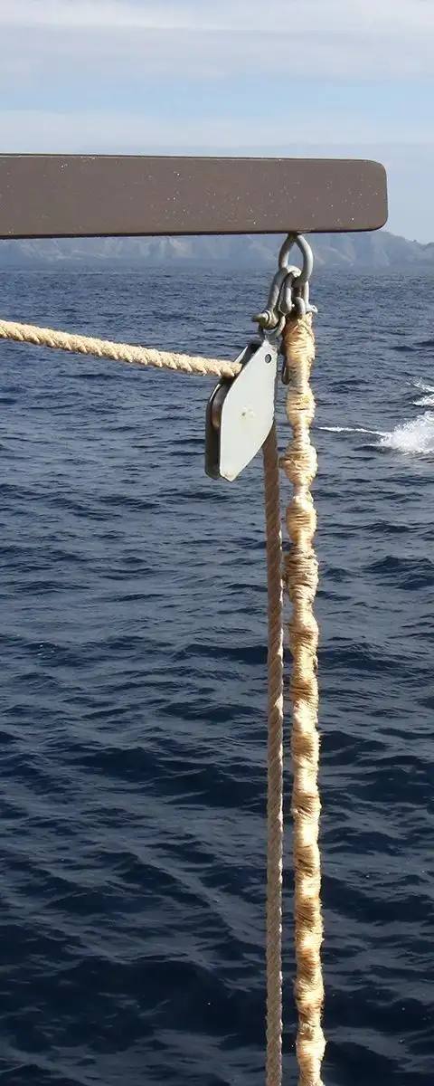 Tiare activities photo